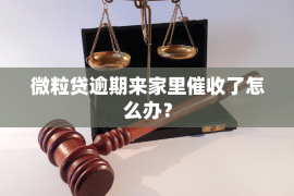 榆社债务清欠服务